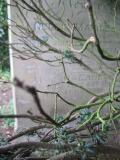 image of grave number 226939